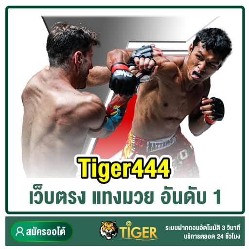 Tiger444 เว็บตรง แทงมวย อันดับ 1