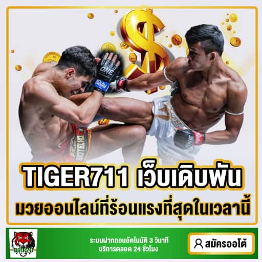 tiger711 ทางเข้า