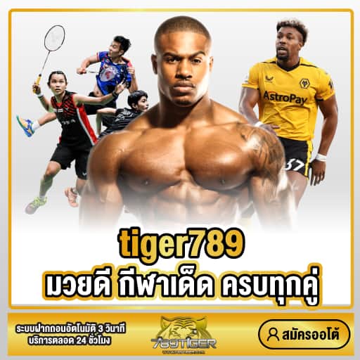 tiger789 มวยดี