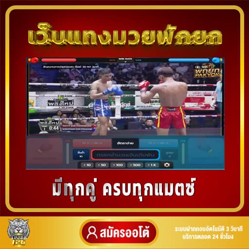 เว็บแทงมวยพักยก