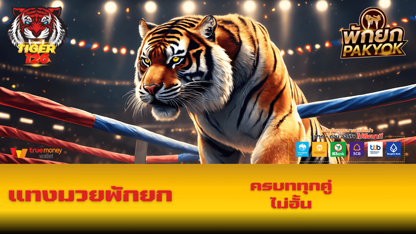 ผลมวย 29 กรกฎาคม 2567