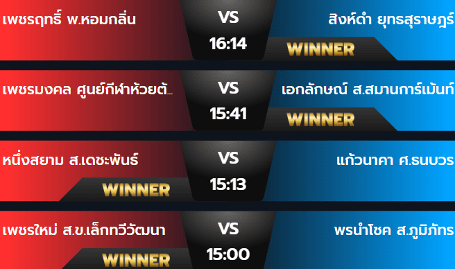 ผลมวยอาทิตย์ 10 พฤศจิกายน 2567