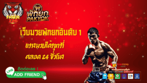 ผลมวยพฤหัสบดี 14 พฤศจิกายน 2567